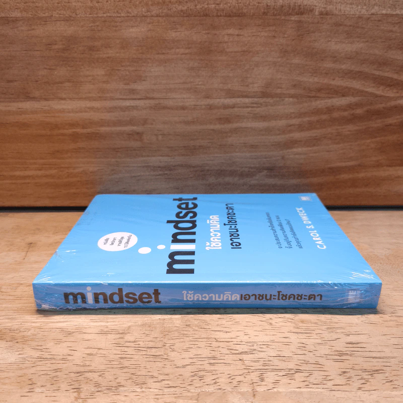 Mindset ใช้ความคิดเอาชนะโชคชะตา - Carol S.Dweck รูปที่ 2
