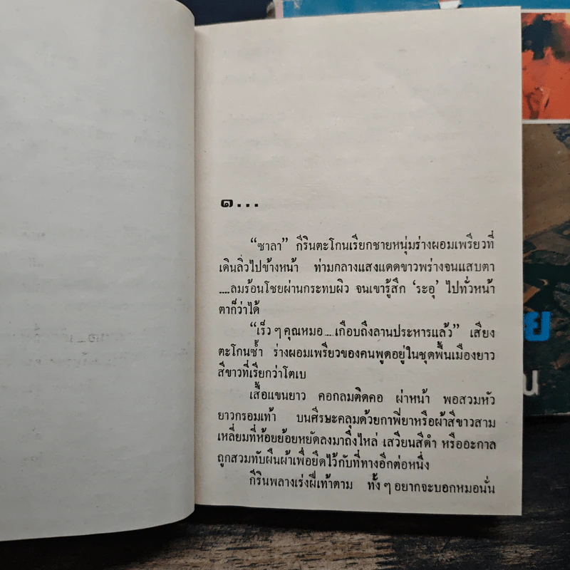 เจ้าทะเลทราย 2 เล่มจบ - โสภาค สุวรรณ รูปที่ 8