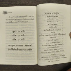 ธรรมะสำหรับผู้ป่วย - พระไพศาล วิสาโล รูปที่ 9
