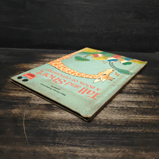 Tall And Short Disney's Wonderful World Of Reading RARE 1983 รูปที่ 5