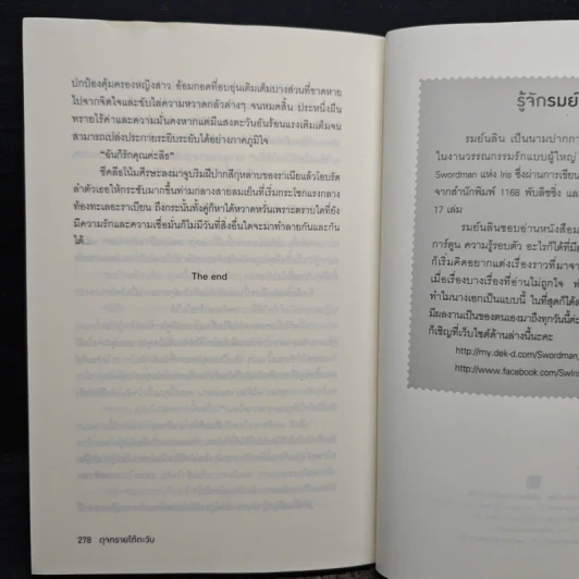 ดุจทรายใต้ตะวัน - รมย์นลิน รูปที่ 8