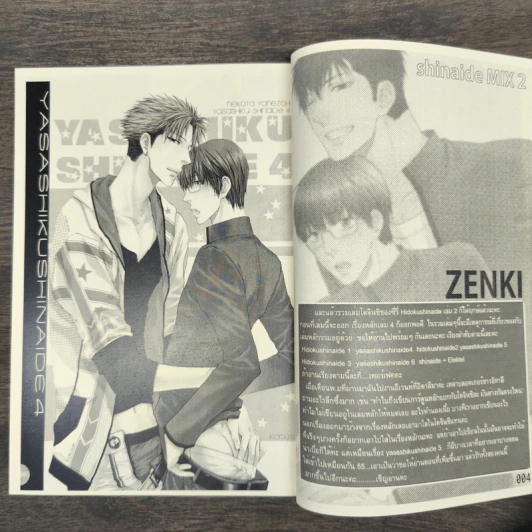 Shinaide Mix 2 รูปที่ 6