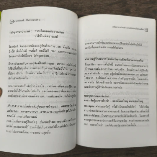 อานาปานสติ : วิถีแห่งความสุข 1-2 - พระอาจารย์มิตซูโอะ คเวสโก รูปที่ 8