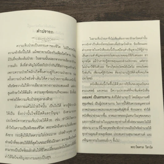 ธรรมะสำหรับผู้ป่วย - พระไพศาล วิสาโล รูปที่ 6