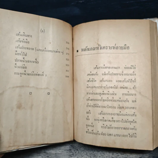 หมอดูลายมือ ประจำบ้าน - ญาณเทพย์ รูปที่ 8