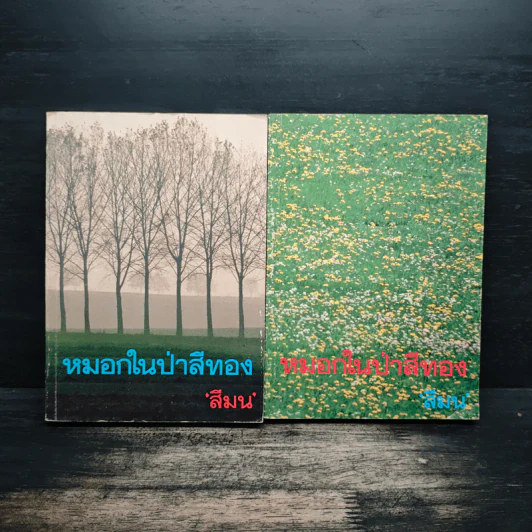 หมอกในป่าสีทอง 2 เล่มจบ - สีมน รูปที่ 1