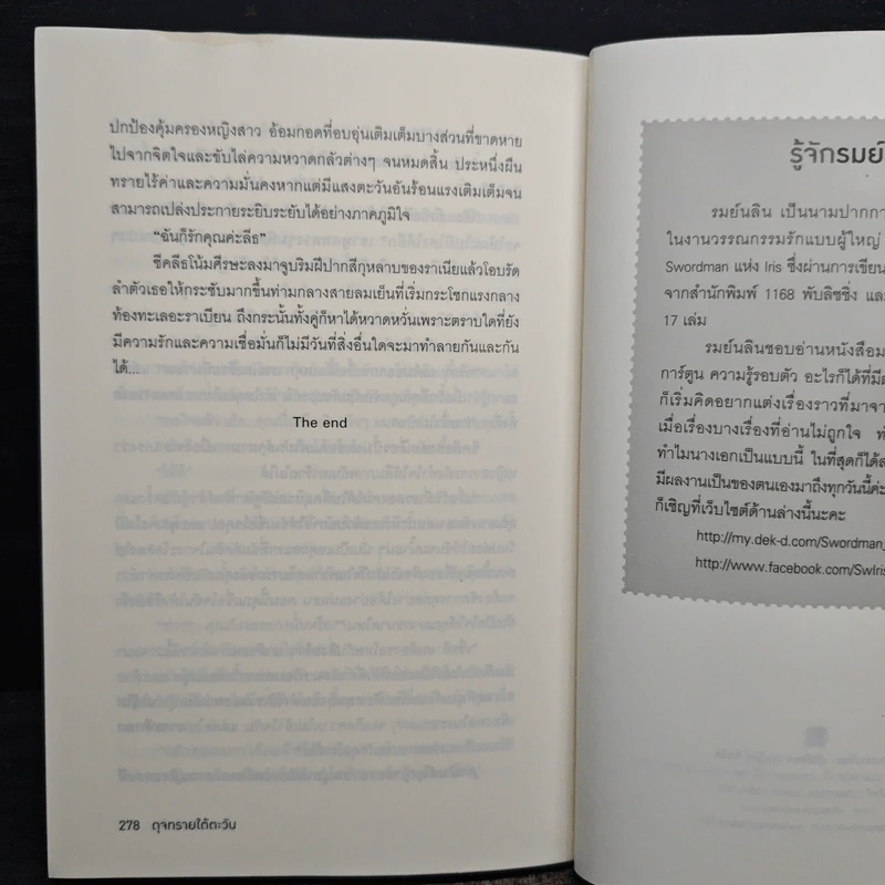 ดุจทรายใต้ตะวัน - รมย์นลิน รูปที่ 8