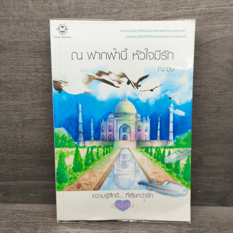 ณ ฟากฟ้านี้ หัวใจมีรัก - ณ มน รูปที่ 1