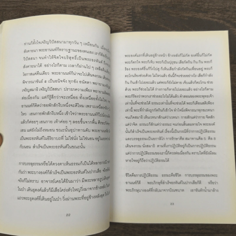 วัคซีนธรรมะ - พระอาจารย์มิตซูโอะ คเวสโก รูปที่ 8