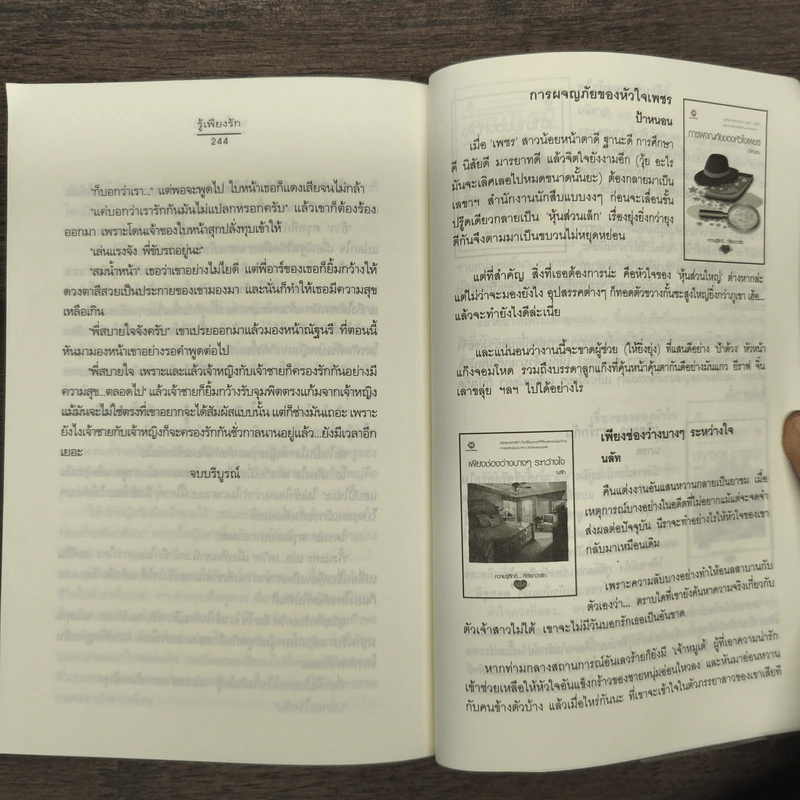 รู้เพียงรัก - เมเปิ้ลสีขาว รูปที่ 9