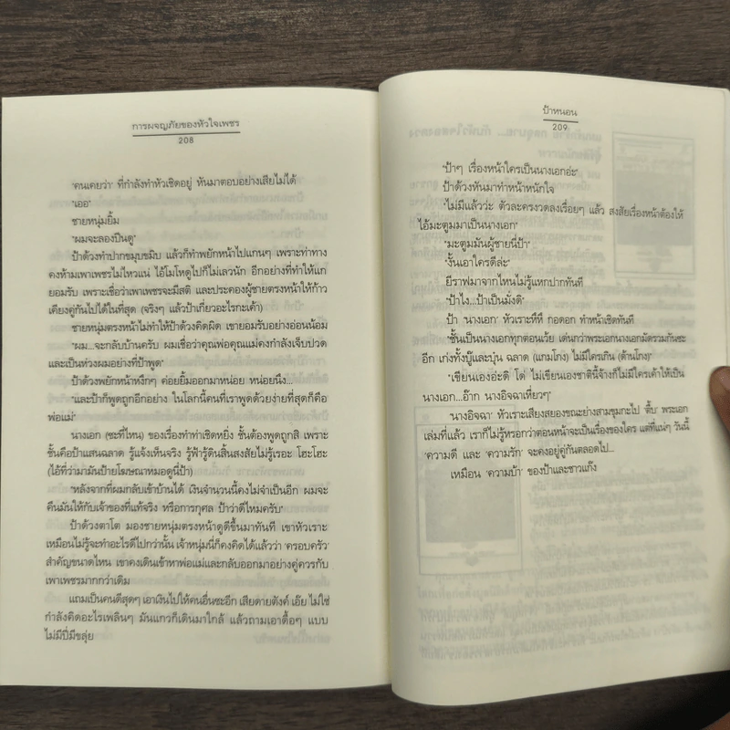 การผจญภัยของหัวใจเพชร - ป้าหนอน รูปที่ 9