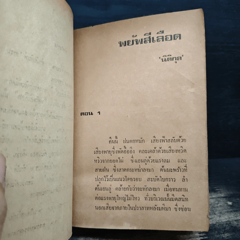 พยับสีเลือด - นิติกุล รูปที่ 6