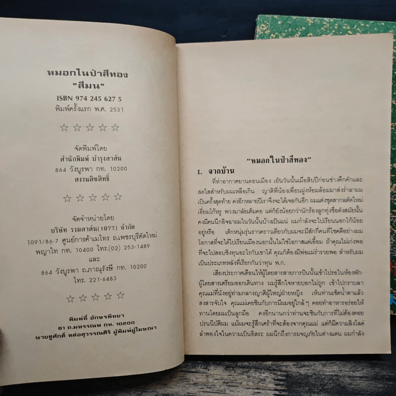 หมอกในป่าสีทอง 2 เล่มจบ - สีมน รูปที่ 6
