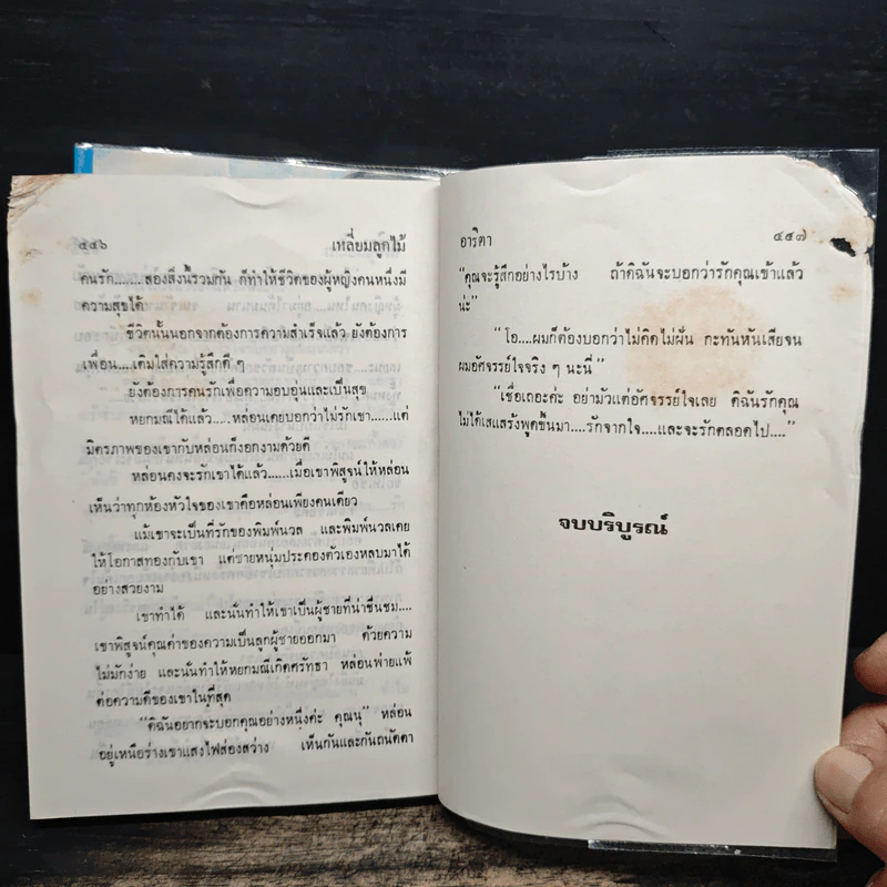 เหลี่ยมลูกไม้ 2 เล่มจบ - อาริตา รูปที่ 10