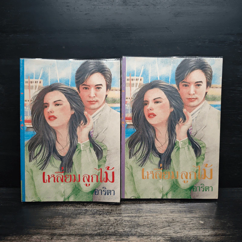 เหลี่ยมลูกไม้ 2 เล่มจบ - อาริตา รูปที่ 1