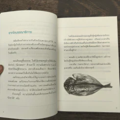 ชีวิตคุณจะเปลี่ยนไปเมื่อเริ่มฉีกขาได้ - Eiko รูปที่ 7