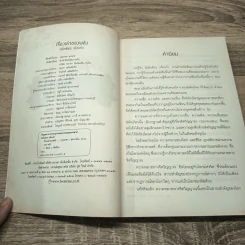 เรื่องเล่าของพลัง - นิพัทธ์พร เพ็งแก้ว รูปที่ 7