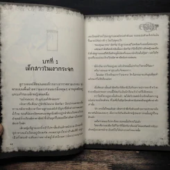 การิน ปริศนาคดีอาถรรพ์ เล่ม 4 ความลับของกระจกเงา รูปที่ 9