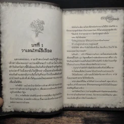 การิน ปริศนาคดีอาถรรพ์ ความทรงจำในซากดอกไม้ - อัยย์ รูปที่ 8