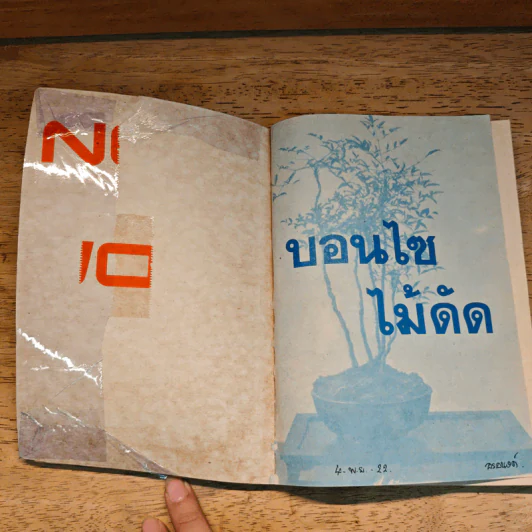 บอนไซไม้ดัด - สุขหฤทัย รูปที่ 6