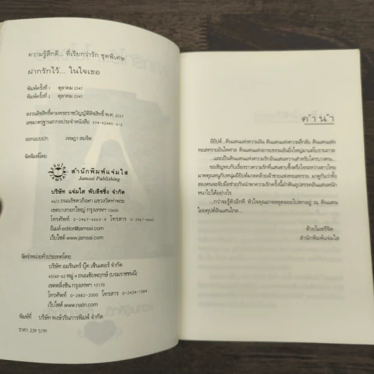 ฝากรักไว้...ในใจเธอ - Clear Ice รูปที่ 6