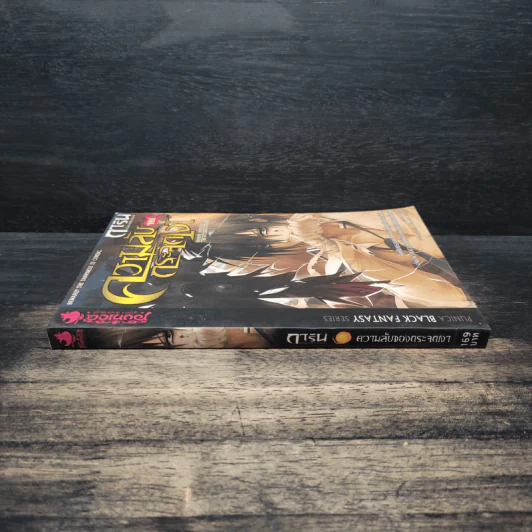 การิน ปริศนาคดีอาถรรพ์ เล่ม 4 ความลับของกระจกเงา รูปที่ 3