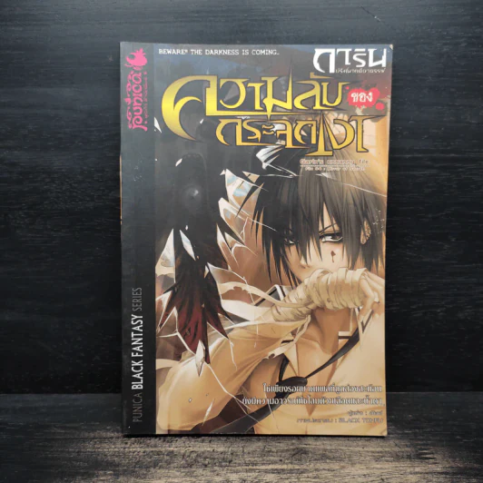 การิน ปริศนาคดีอาถรรพ์ เล่ม 4 ความลับของกระจกเงา รูปที่ 1