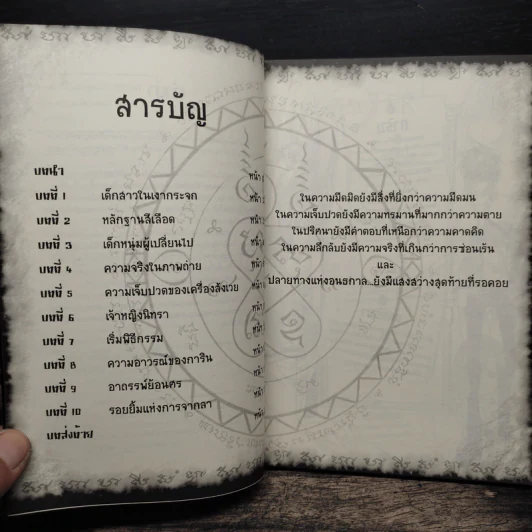 การิน ปริศนาคดีอาถรรพ์ เล่ม 4 ความลับของกระจกเงา รูปที่ 7