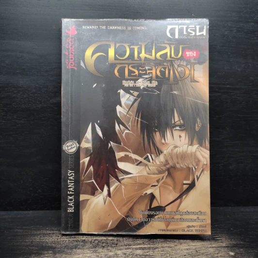 การิน ปริศนาคดีอาถรรพ์ เล่ม 4 ความลับของกระจกเงา รูปที่ 1