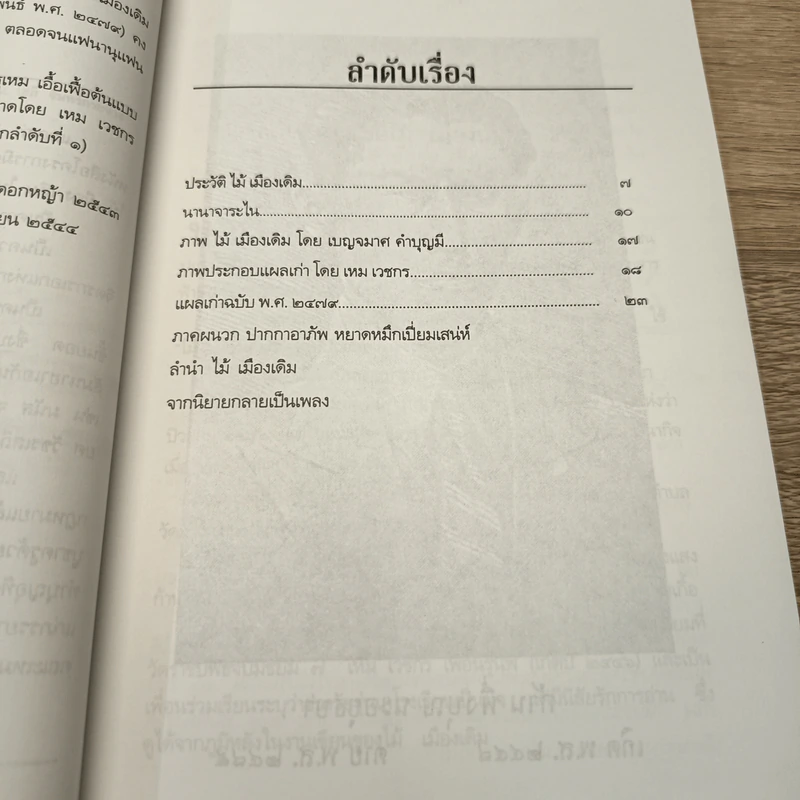 แผลเก่า - ไม้ เมืองเดิม รูปที่ 7