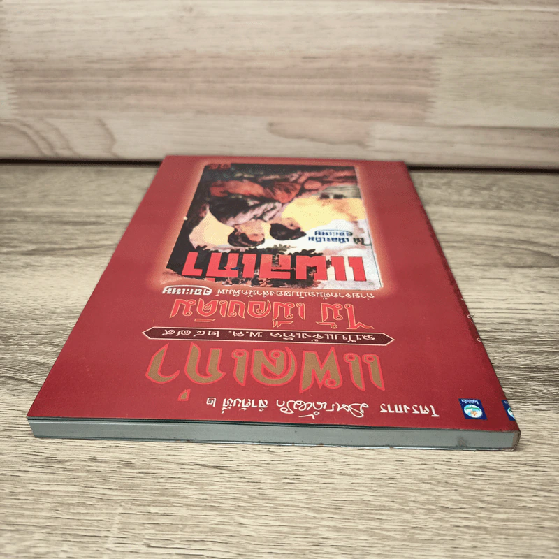 แผลเก่า - ไม้ เมืองเดิม รูปที่ 4