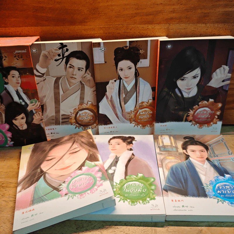 นิยายแจ่มใส Boxset ชุด เรือนพิทักษ์ใจ 6 เล่ม - jamsai รูปที่ 3