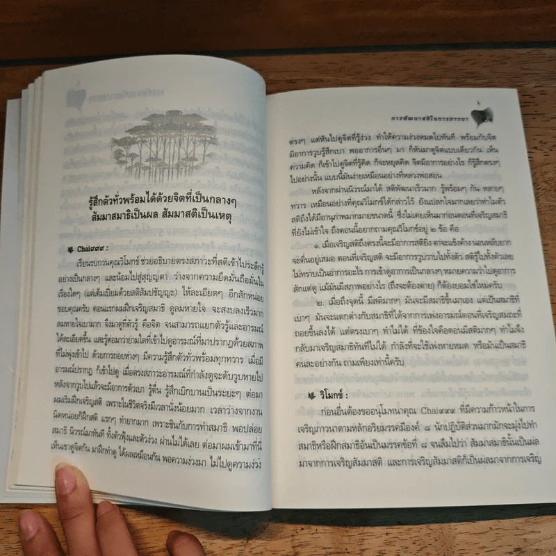 การพัฒนาสติในการภาวนา - โมกข์และสมาชิกลานธรรม รูปที่ 10