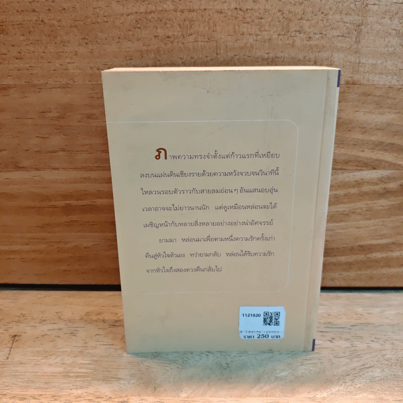 ตามรักคืนใจ - กิ่งฉัตร รูปที่ 5