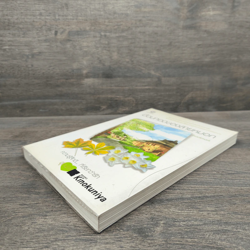 อ้อมกอดของสายหมอก - bookmark รูปที่ 3