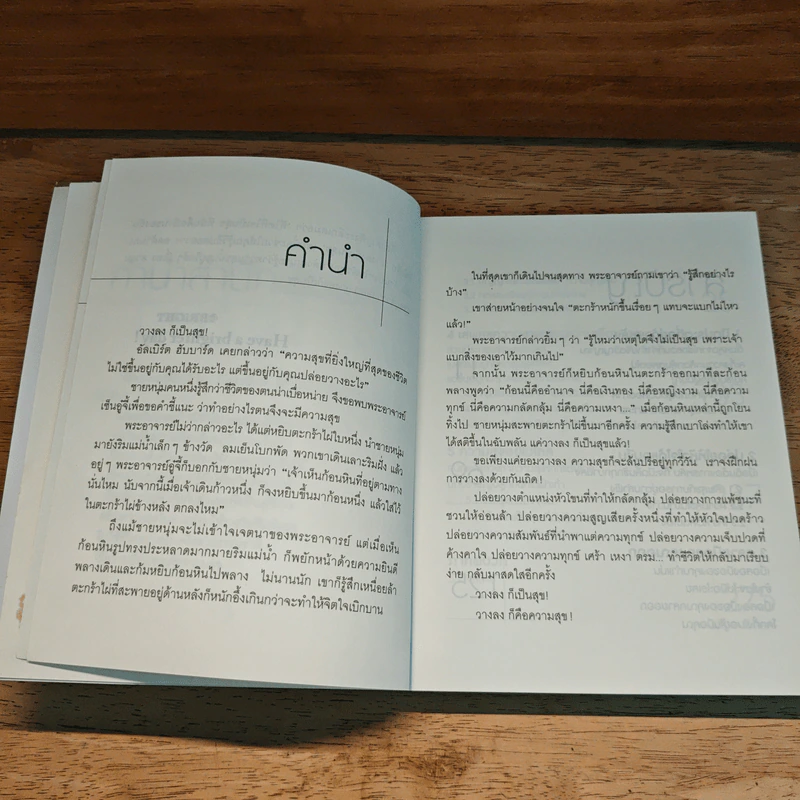 วางลงก็เป็นสุข Just let it go - เซียวเย่ว์ รูปที่ 8