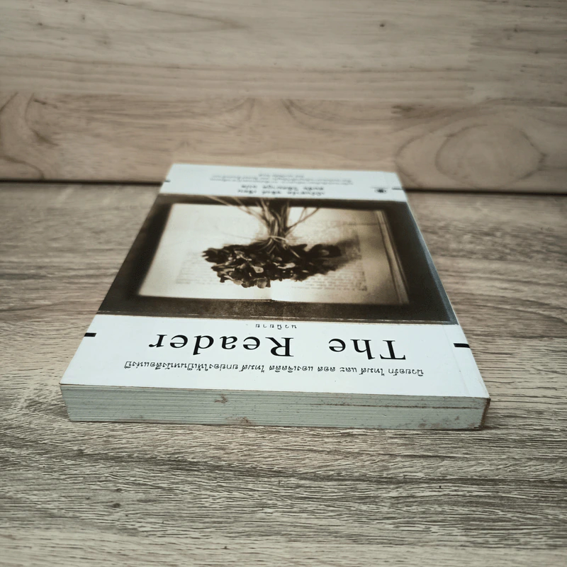 The Reader - เบิร์นฮาร์ด ชลิงค์ รูปที่ 4