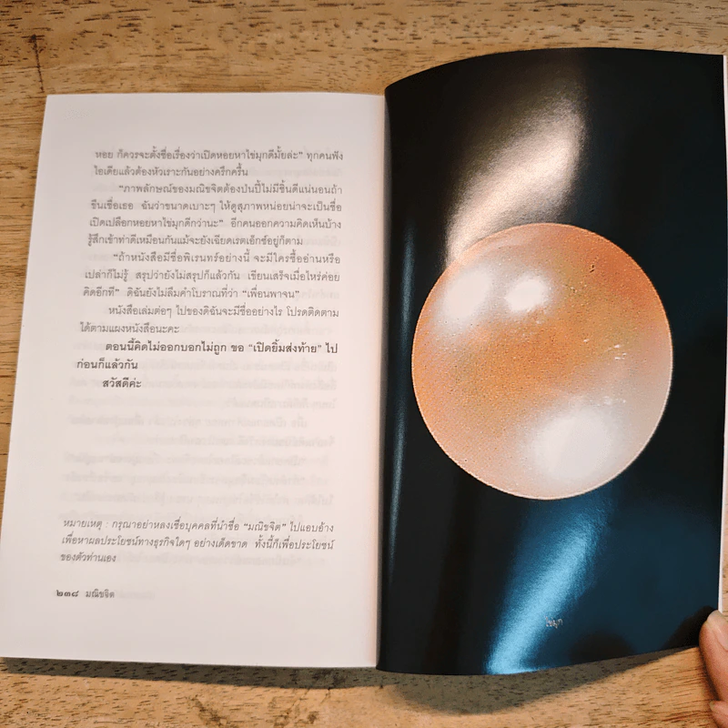 เปิดอกแม่ค้าพลอย - มณิขจิต รูปที่ 9
