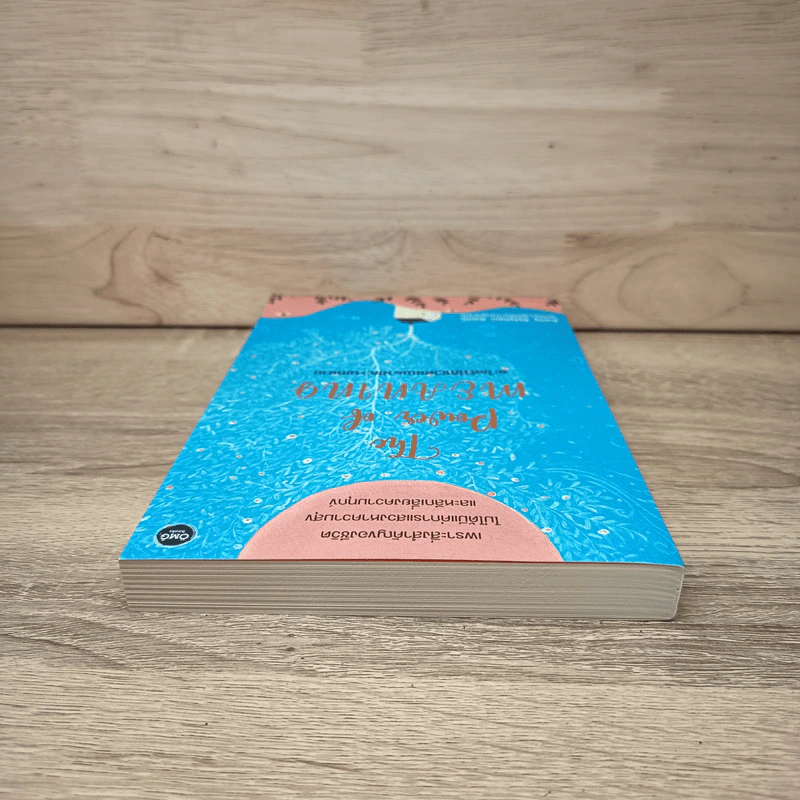 The Power of Meaning : อะไรทำให้ชีวิตคนเรามีความหมาย - Emily Esfahani Smith (เอมิลี่ เอสฟาฮานี สมิธ) รูปที่ 4