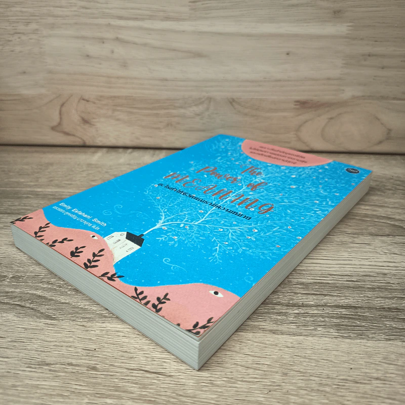 The Power of Meaning : อะไรทำให้ชีวิตคนเรามีความหมาย - Emily Esfahani Smith (เอมิลี่ เอสฟาฮานี สมิธ) รูปที่ 3