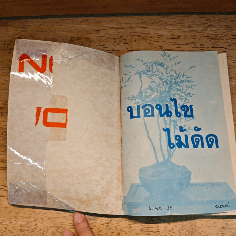 บอนไซไม้ดัด - สุขหฤทัย รูปที่ 6