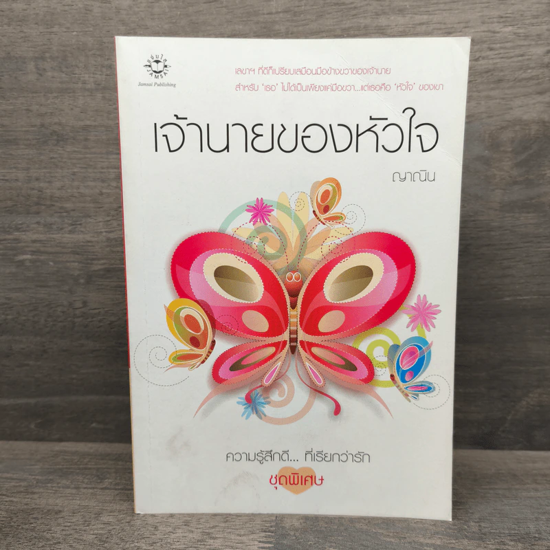 เจ้านายของหัวใจ - ญาณิน รูปที่ 1
