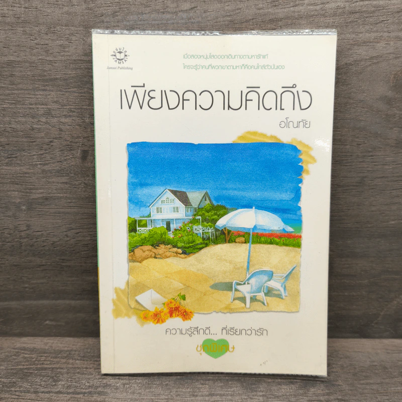 เพียงความคิดถึง - อโณทัย รูปที่ 1