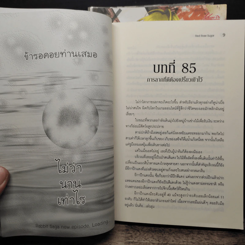 รหัสพันธุ์ลับ Rabbit Saga ll เล่ม 1-4 รูปที่ 6