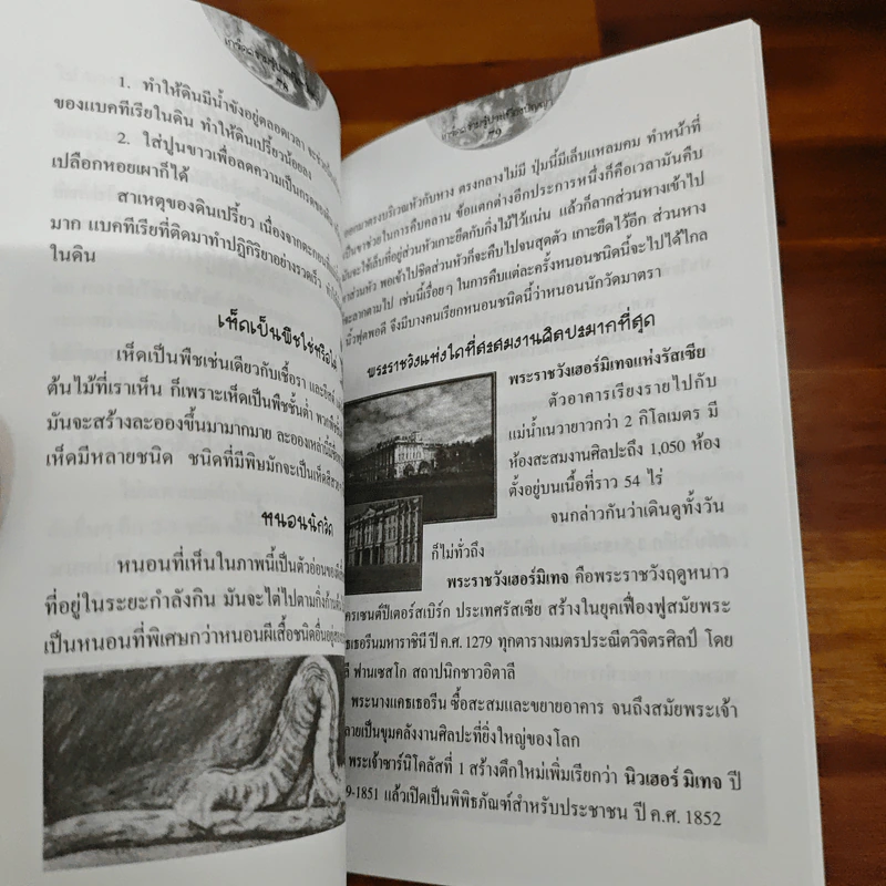 เกร็ดความรู้ประเทืองปัญญา รูปที่ 8