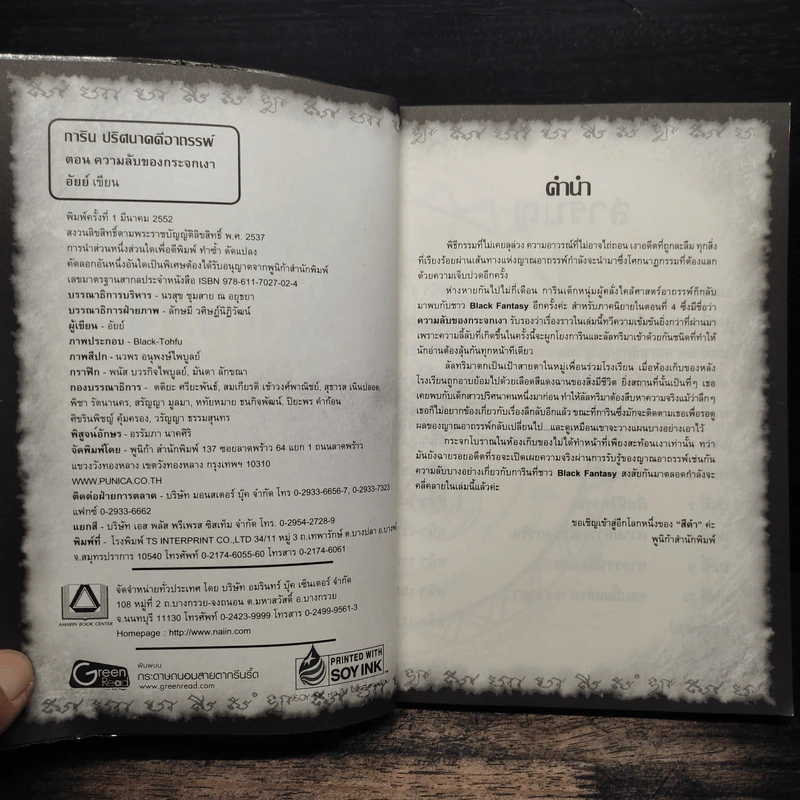 การิน ปริศนาคดีอาถรรพ์ เล่ม 4 ความลับของกระจกเงา รูปที่ 6