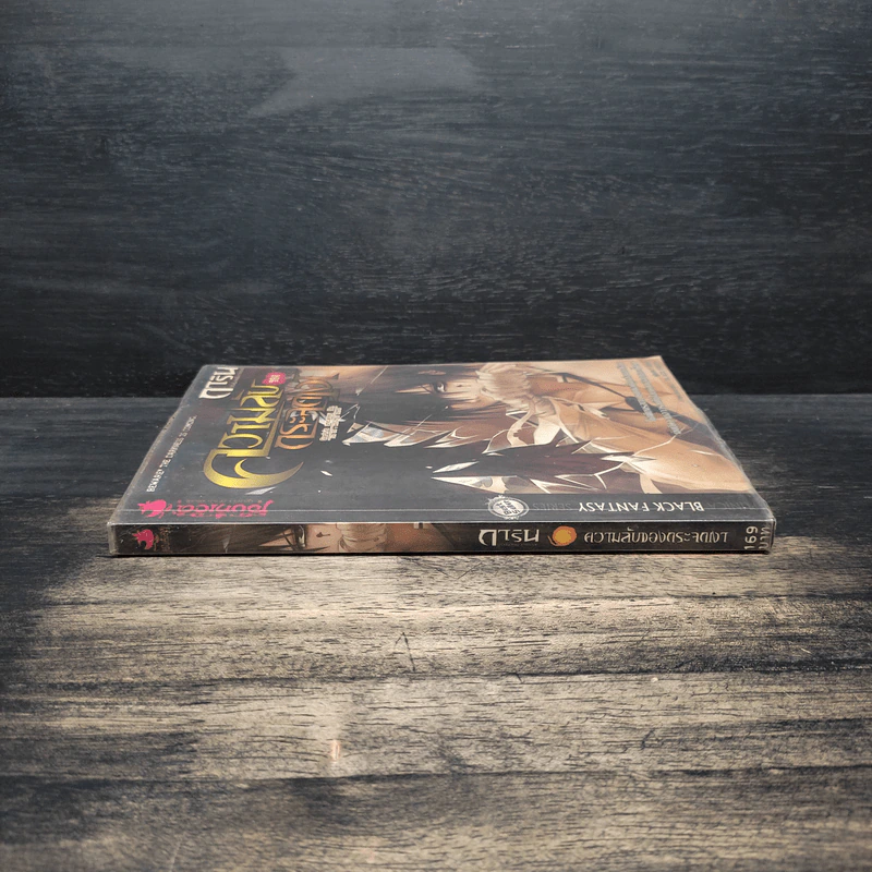 การิน ปริศนาคดีอาถรรพ์ เล่ม 4 ความลับของกระจกเงา รูปที่ 3