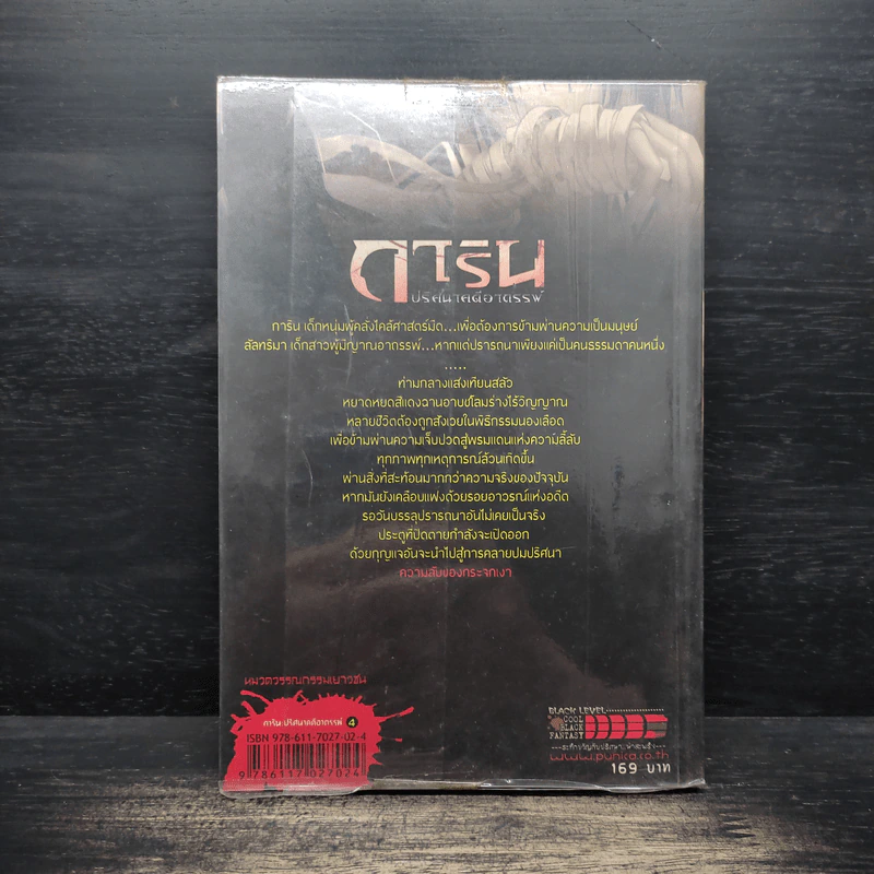 การิน ปริศนาคดีอาถรรพ์ เล่ม 4 ความลับของกระจกเงา รูปที่ 2