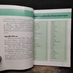 คู่มือคนรักต้นไม้ ไม้ดอกหอม สีเหลือง - วชิรพงศ์ หวลบุตตา รูปที่ 7