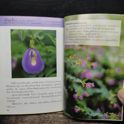คู่มือคนรักต้นไม้ ดอกไม้สีม่วง - สุปรียา จันทะเหลา รูปที่ 8